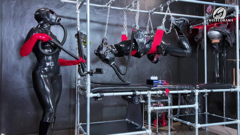 Twistedrama: Dasi hog sampul lateks penuh