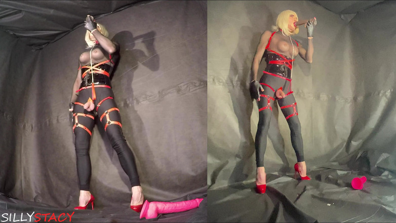 sillystacy: Kereta Banci