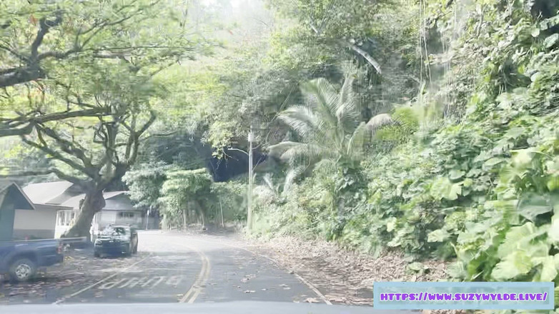 Suzy Wylde: Perjalanan jalan sfw ke Hana untuk Suzy Wylde di Waimoku...