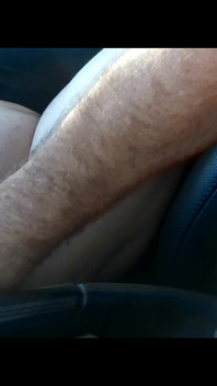 Fingered in the Passenger Seat