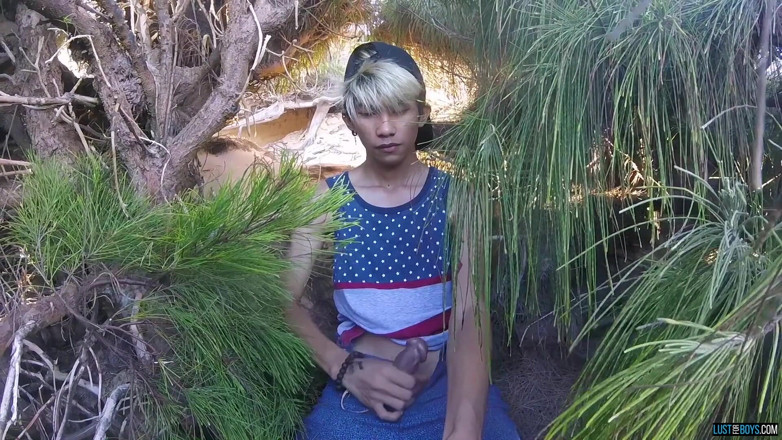 Lust for boys: Boner Stroking at the Beach