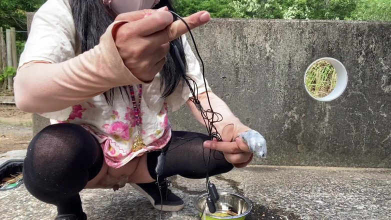 megu2002: No. 252 Outdoor “doggy Pose” Pee