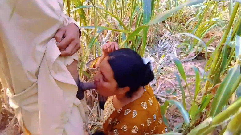 Abida sexy: Desi Couple