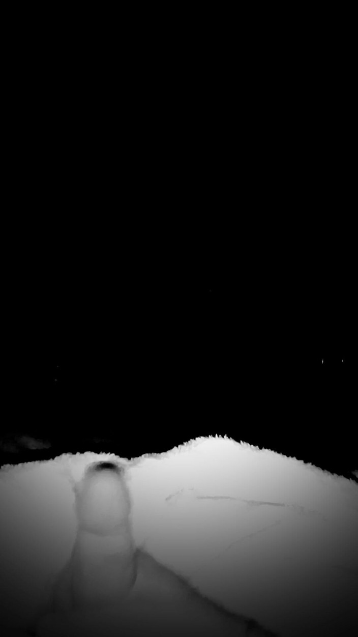 Charlie Bucket: 卡明