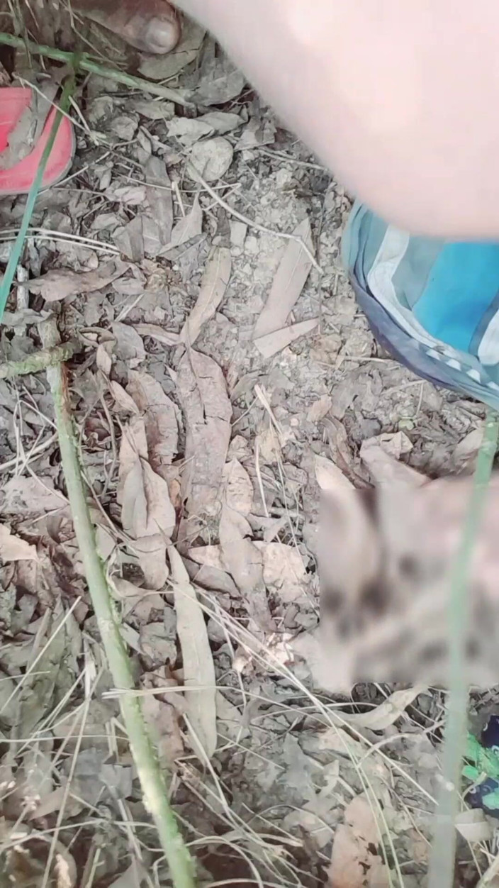 Renudbf: Hintli kadın devar tarafından sikiliyor açık havada Hintçe ses