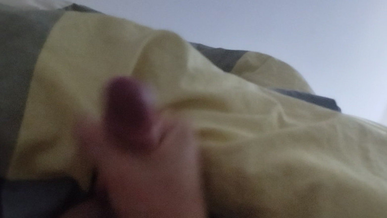 Bayer911: Madeira da manhã