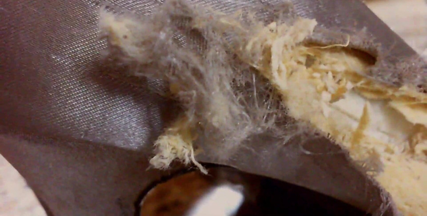 Nicoletta Embassi: Bersedia Untuk Kelihatan Seperti Kasut Ini? Beritahu saya kebenaran yang...