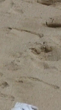 Threesome - Young Skinny Blondie Slut Fucks Her Stepdad's Friends on the Beach