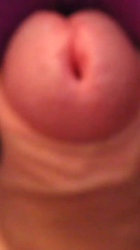 Dreier, strumpfhosen-nylon-blowjob