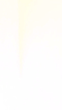 ベアフィルムズ アダム・ジョーンズとエール・テデスコ