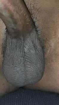 Erection of a Indian Dick