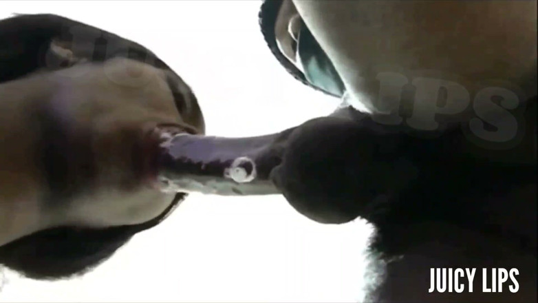 Bigmaj414: Juicy Lips Slurps His Dick so Sloppy He Nut!!! in...