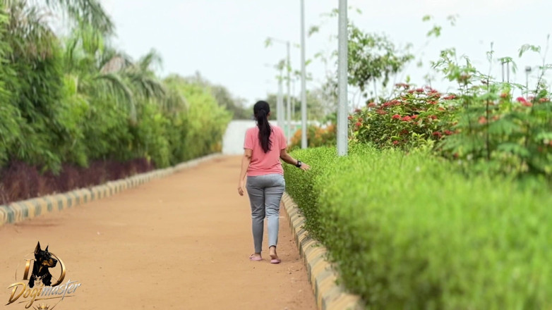 Dogimaster: First Time Meeting in Park Girlfriend Jeans and Top Hot...