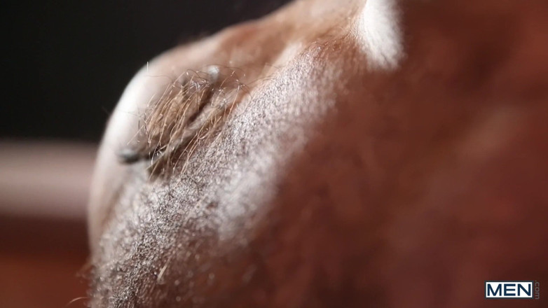Men network: The Cmen - Hard Rod Pumping His Hairy Ass.