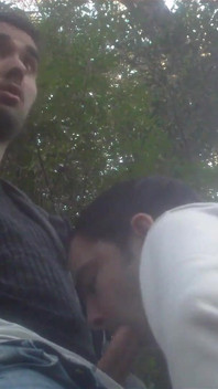 Baiser en plein air