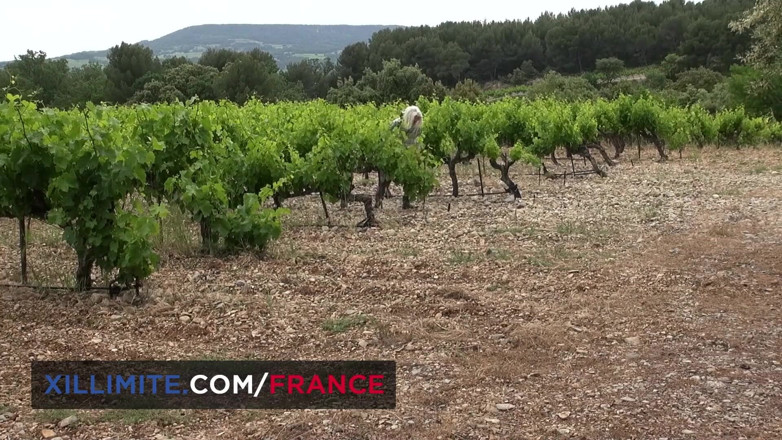 Made In France: Outdoor sex in the vineyards
