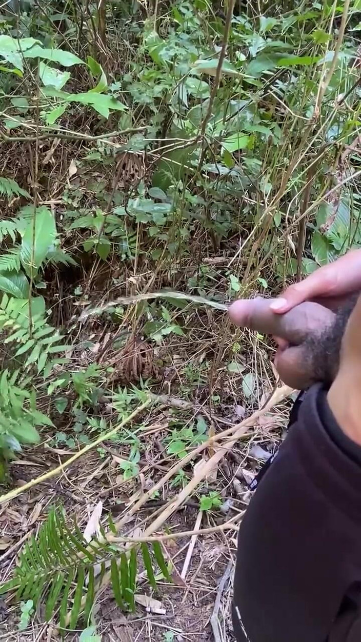 Vida Noite: Pissed med passion piss på spåren