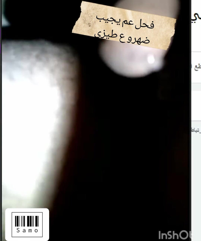 Syrian22bottom: Er melkt seinen penis auf meinen arsch