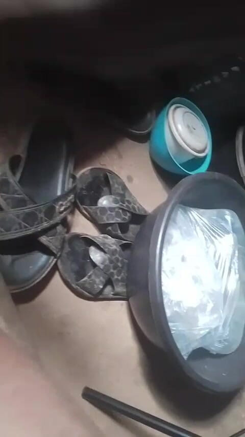 Oladi plenty tv: Nejlepší domácí video, které dnes uvidíte