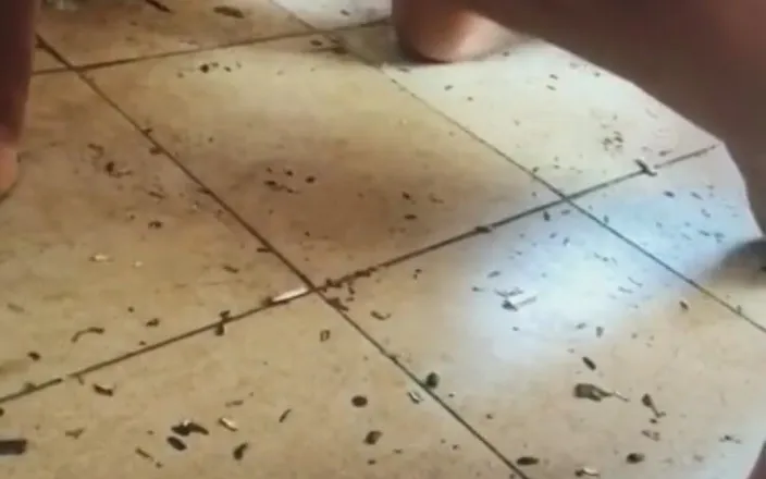Merry Bell: Licks the Dirty Floor and Urinates on the Body