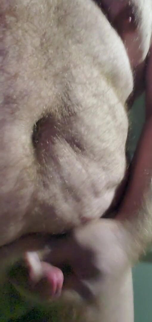 Danzilla White: 玄関を出て、自分と遊ぶことにした