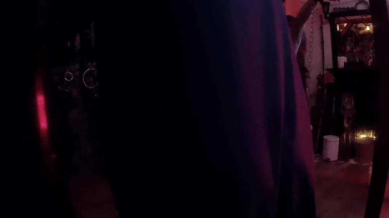 Aaexperinces trans: Part 2 Allegro's Forst Experience with Lanista Bear