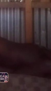 Hit diese muschi wirklich gut - sie wollte mehr und mehr davon