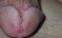 BigDickBoss: Close up - mainin prostat sampai dicrot sperma