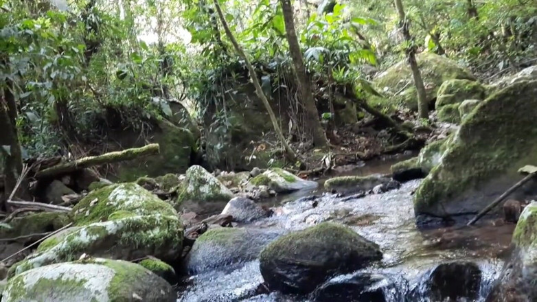 Novinha Insaciavel: Blowjob in the waterfall