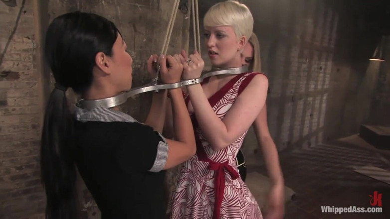 Whipped Ass by Kink: Companion Bitches