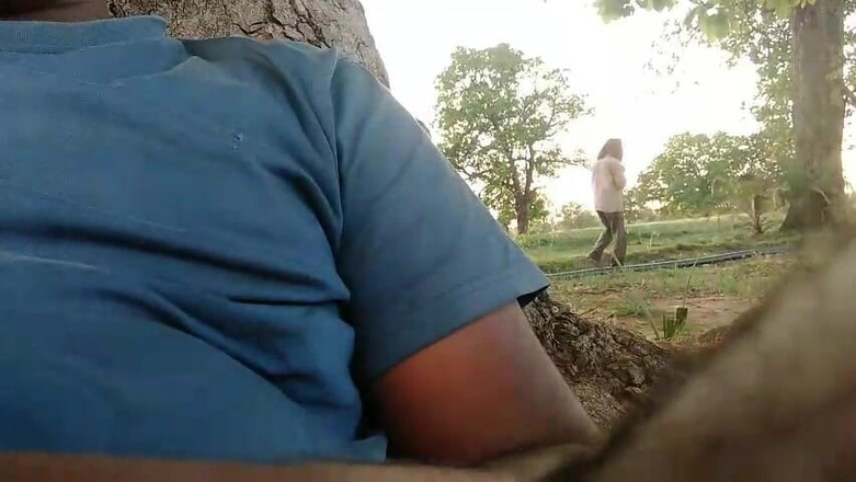 Public sex00: Saya Menggoncang Batang Saya Di Padang Apabila Ayah Tiri Saya...