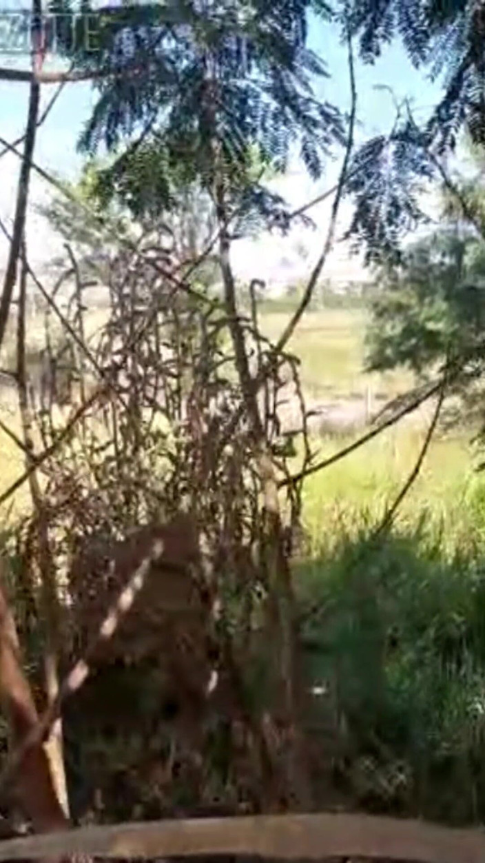 Prezottes_House: 在这里，你会找到一种方法来保持你的