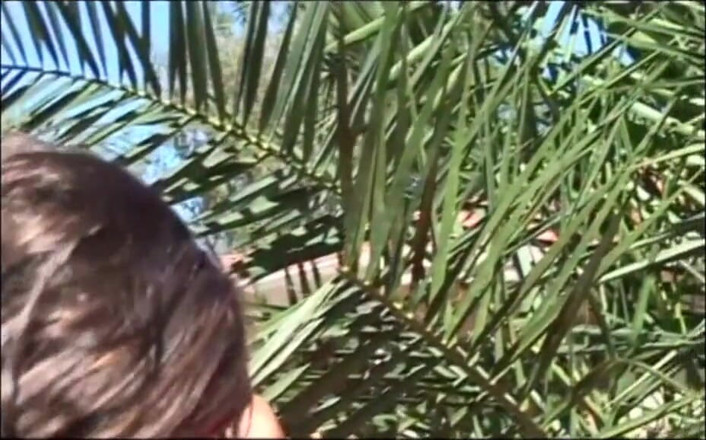 Worldwide X: Ebony licks my black cock