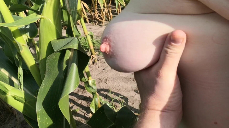 Bouncy Tits Action: トウモロコシ畑で私を叩く