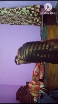 Indian Wear New Saree for Sex