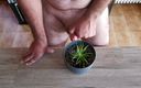 Cicci77 cum for you: Cicci77 feeds her plants with pee and sperm to make...