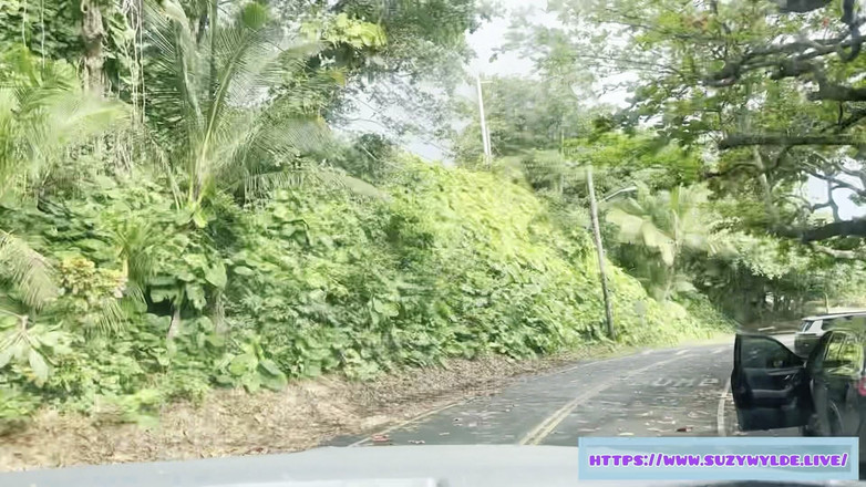 Suzy Wylde: Sfw road trip a Hana para Suzy Wylde en Waimoku...