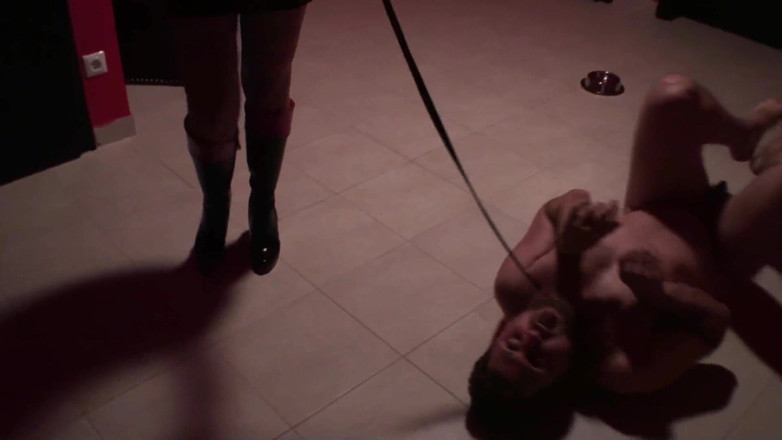 Femdom Austria: Rewarding Her Pet for Good Behavior