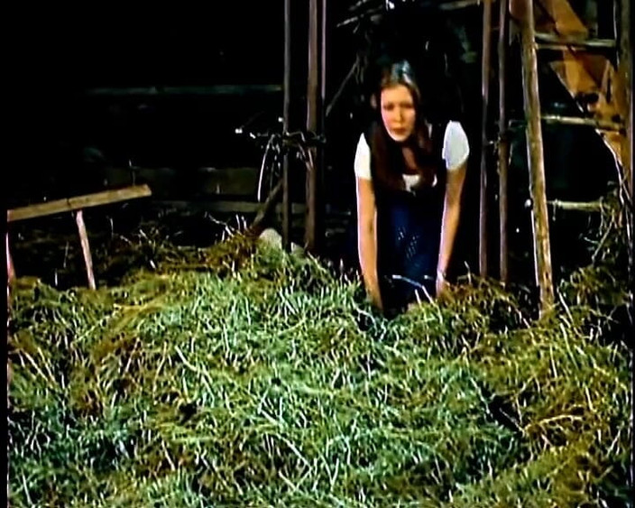 GERMAN PORN CLASSICS: 色情黄金世纪5