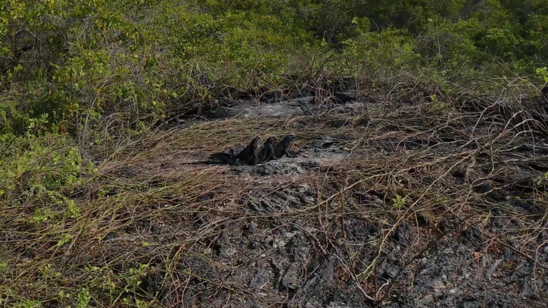 Jade Kink: Szorstki amator na zewnątrz sex oralny i twarzy