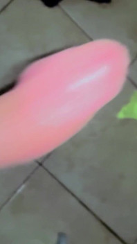 Large White Dick