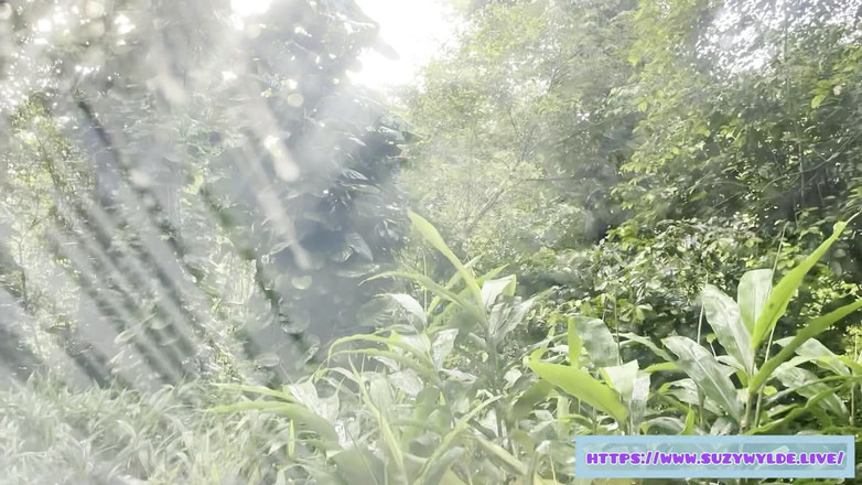 Suzy Wylde: SFW Road Поездка в Хану для Suzy Wylde в Ваймоку-Фолс, Мауи