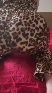 Cougar Pj Stinky Farts in Red Bed