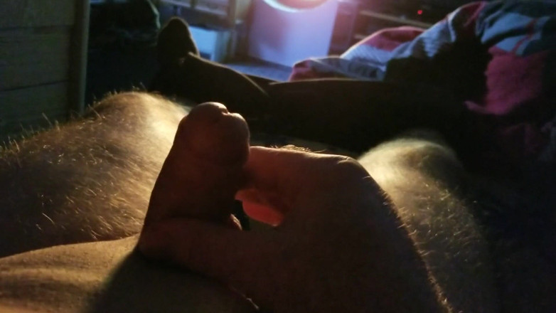 Paddy studio: Playing with the small dick on evening...