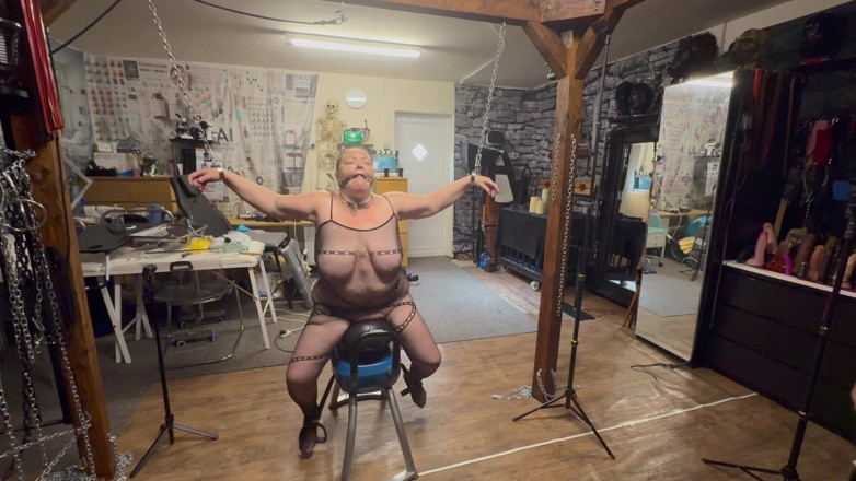 Aaexperiencesltd: Part 1- Lanista Bear Tests a New Machine Out on Kitty!