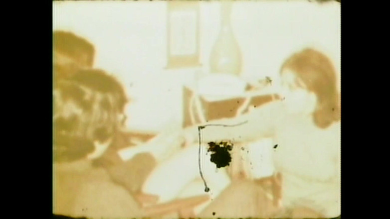 Vintage Megastore Full hd: Candida Royalle Das Schwein Lutscht Schwanz