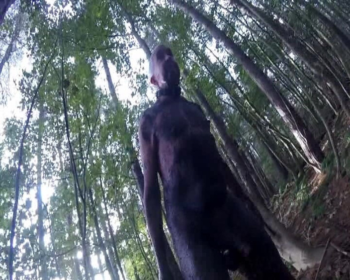 Andy: Part 2 Dirty Ib the Woods