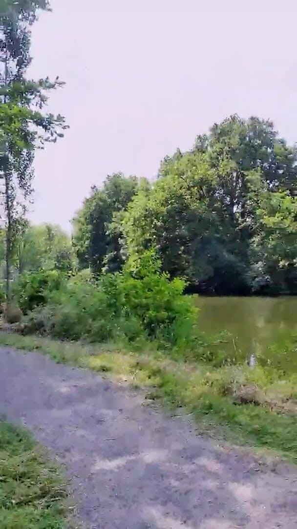 Slutboyben: Slutboyben Cam4 Babi Pameran Awam Seksi Mega