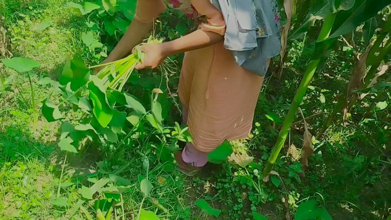 Deshi women: Gaon的乡村 丛林 我的漫画