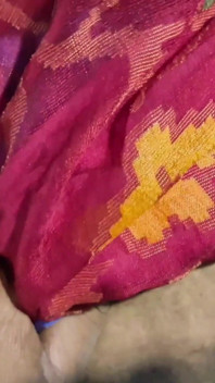Pakisthani Housewife Sital and Her Classmate Md Aktar First Time Blojob and Fucking